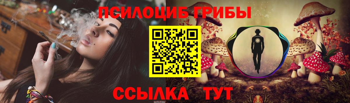 Псилоцибиновые грибы Psilocybe  Вход с VPN  Норильск  Галлюциногенные грибы GOLDEN TEACHER 
